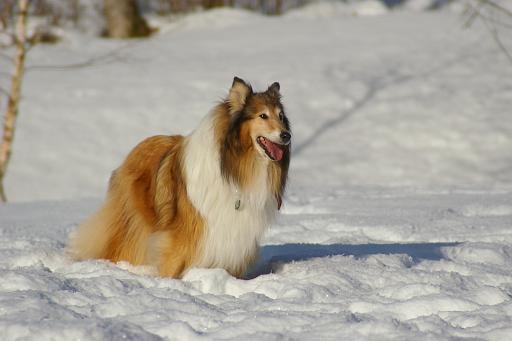 Fotos f. Homepage Galerie 037